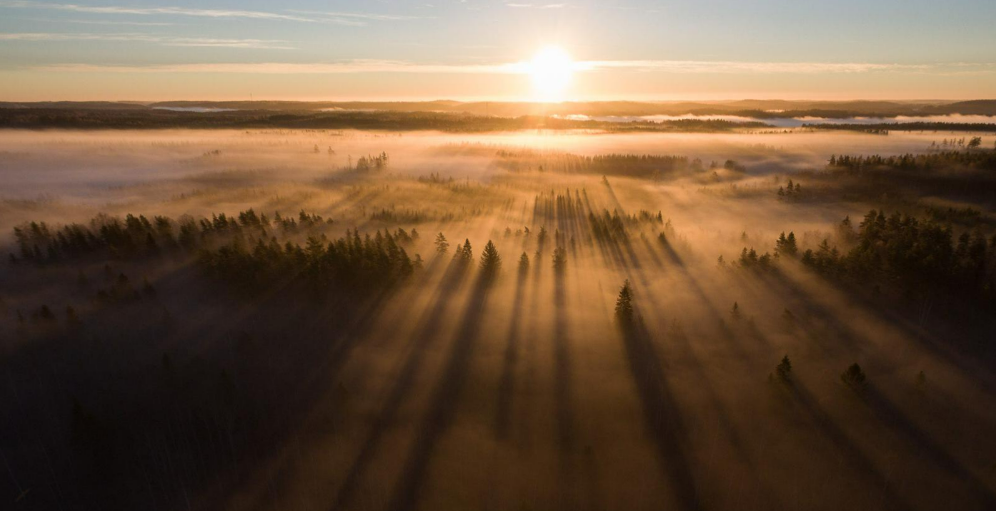Suomalainen metsämaisema